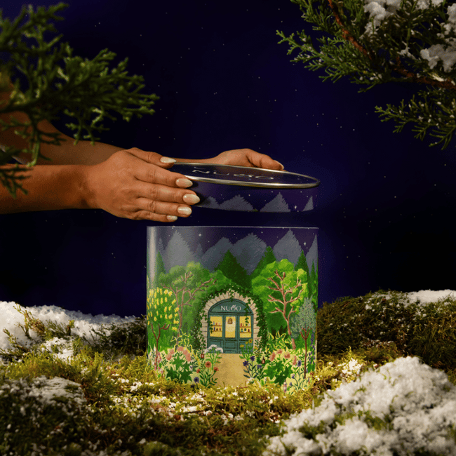Boîte de rangement illustrée - Nuoo