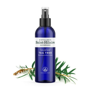 Distillerie Saint Hilaire - Eau Florale de Tea Tree - Eaux Florales bio